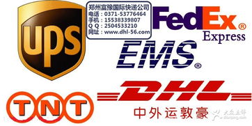 富豫國際快遞 鄭州生活服務(wù)的裝卸搬運(yùn)專家